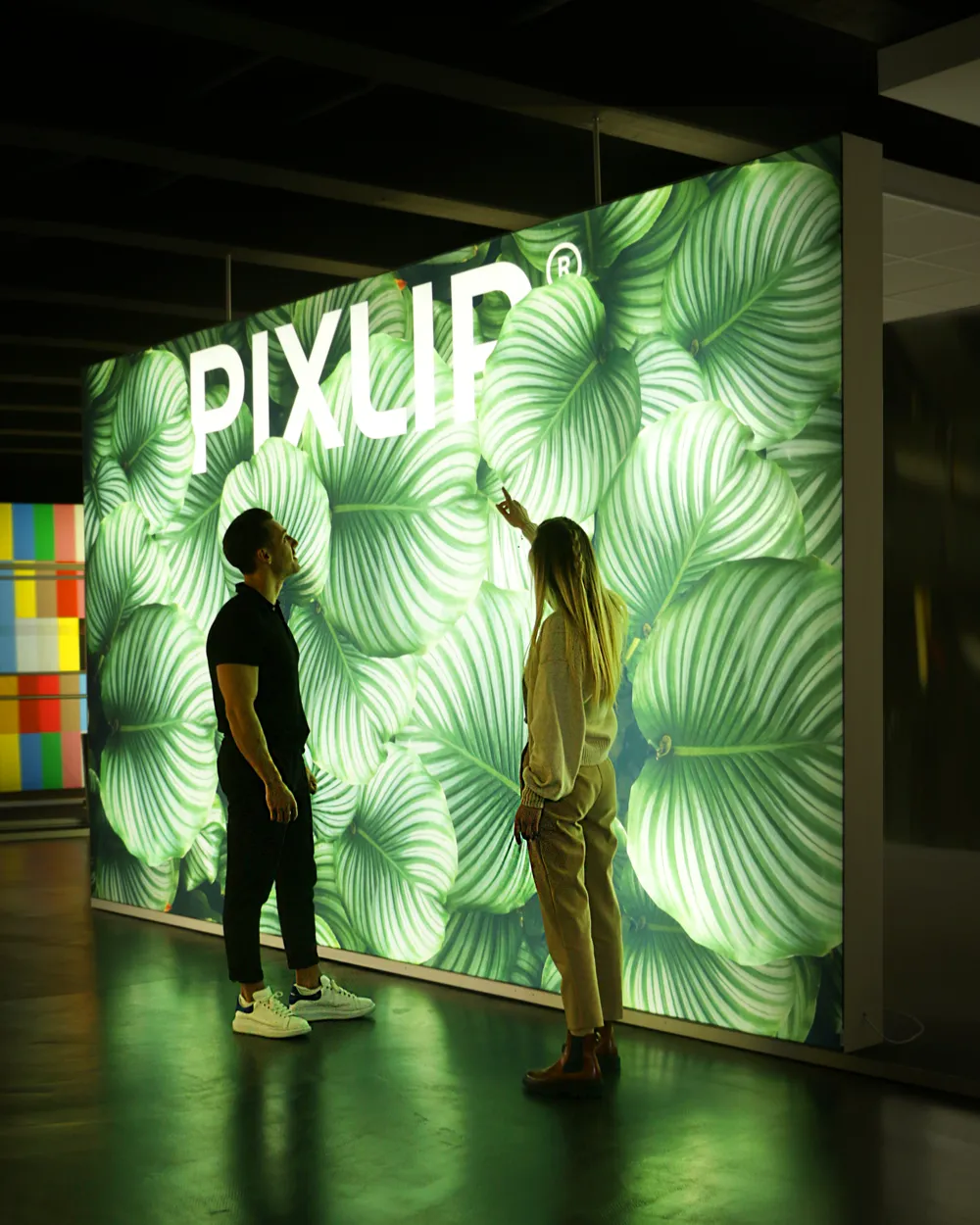 Pixlip 照明系统